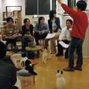 Crazy Cat Lady Cat Cafe! (ladies Only)'s picture