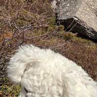 Sujeesh Jayakumar's Photo