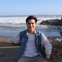 Le foto di Gustavo Grimaldi