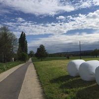 Photos de Thomas Appenzeller