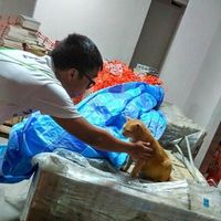 Le foto di Bryan Lee