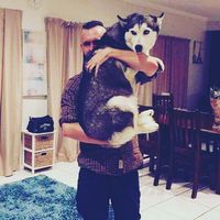 chase mangan的照片