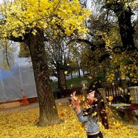 Clau Marques的照片