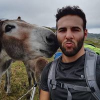 Enrico Orlando的照片