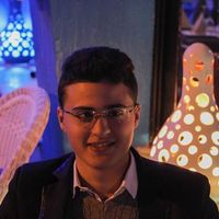 Ayoub Fahmi的照片