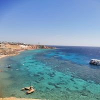 Jihad Ibrahim's Photo