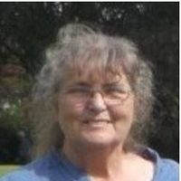 Jan Allston的照片