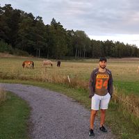 Yamen Kadoura的照片