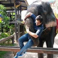 Photos de Anthony Chua