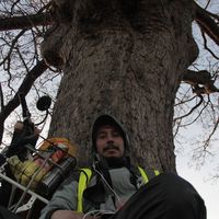 Fotos de Andrey Roque