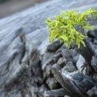 Gregory Ellis's Photo