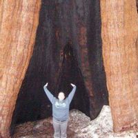 Anna vanderwalker's Photo