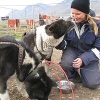 Bodil  Brødreskift的照片