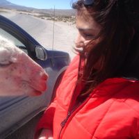 Sigrid Valdés的照片