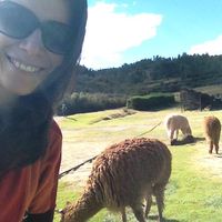 Photos de Montse Corbella Valea