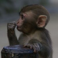 Alec Rattray's Photo