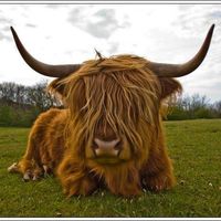 Fanny Zoccarato's Photo