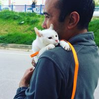 Фотографии пользователя Emre Oyanık