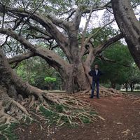 Photos de Burak  Pala