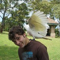 Fotos de Jannik Schmitt