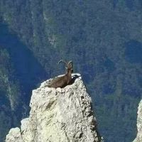 Fotos von Mohamed Cyphax