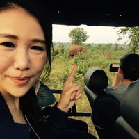 Hsiao Fang Yang's Photo