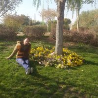 Arash Shahnazi的照片