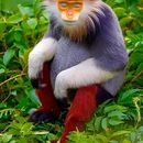 Monkey Pass - hiking's picture