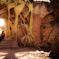 Mayra Zúñiga的照片