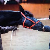 Ana-Maria Susurinca的照片