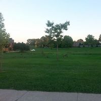 Abdelber Sitayeb的照片