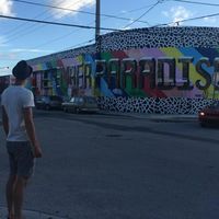 Maikel Evens's Photo