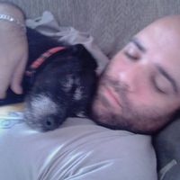 Adam Mclaughlin的照片