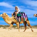 Let’s Go Camel Riding 🐫's picture