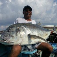 Fotos de Romesh Meegama