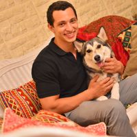 Mohamed El Saharty's Photo