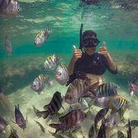 Daniel Almeida's Photo