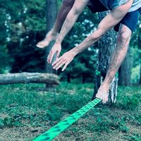 Hamed Karamian的照片