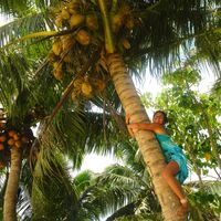 Stephanie Sang's Photo