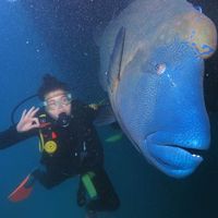 Photos de Sara Michele