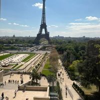 Mostafa Rashed's Photo