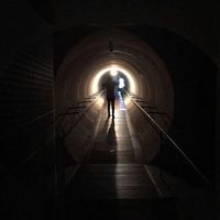 Le foto di Nick Sciulli