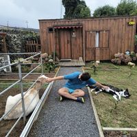 Giosuè Ruggeri's Photo