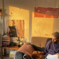 Babak Sharifi的照片