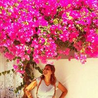 Fotos von Hasnaa Lamrini