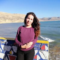 Sofia Oulih的照片