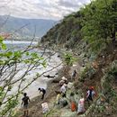 CleanPlanet Day Santa Marta 🌎 的照片