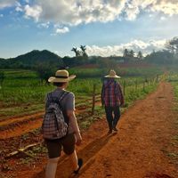 Arlette Thom的照片