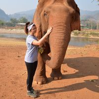 Laura Treuillier's Photo