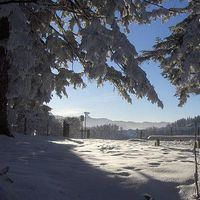 Felicia Bussmann's Photo